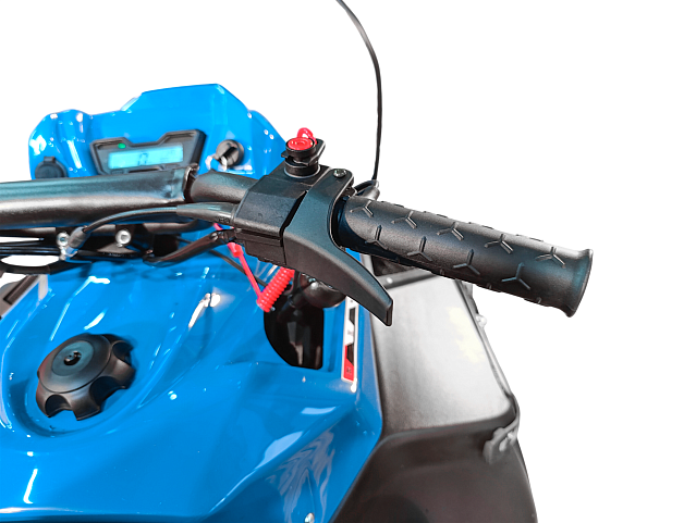 Снегоход IRBIS (Ирбис) Tungus 500L GEN1