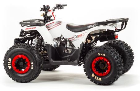 Квадроцикл Motoland VOX STORM 125